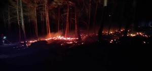 Bolu'da çıkan orman yangını söndürüldü