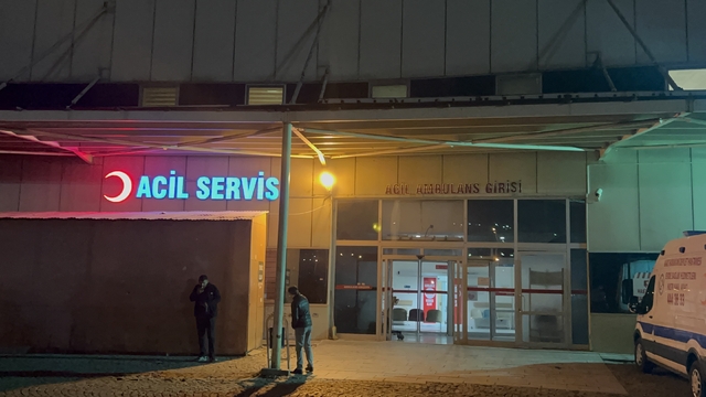 Kars'ta ceviz ağacından düşen muhtar öldü