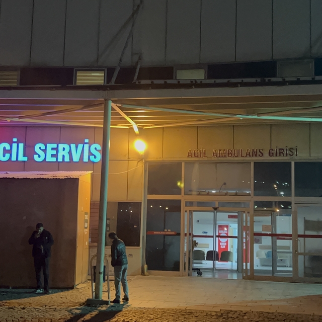 Kars'ta ceviz ağacından düşen muhtar öldü