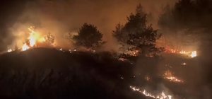 Bolu'da çıkan örtü yangını söndürüldü