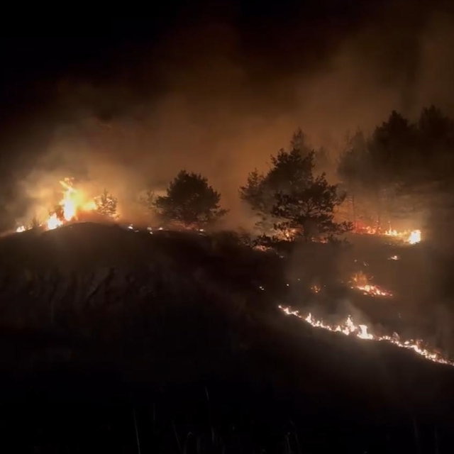 Bolu'da çıkan örtü yangını söndürüldü