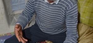 Eskişehir'de koyun otlatırken ayı saldırısına uğrayan kişi yaralandı