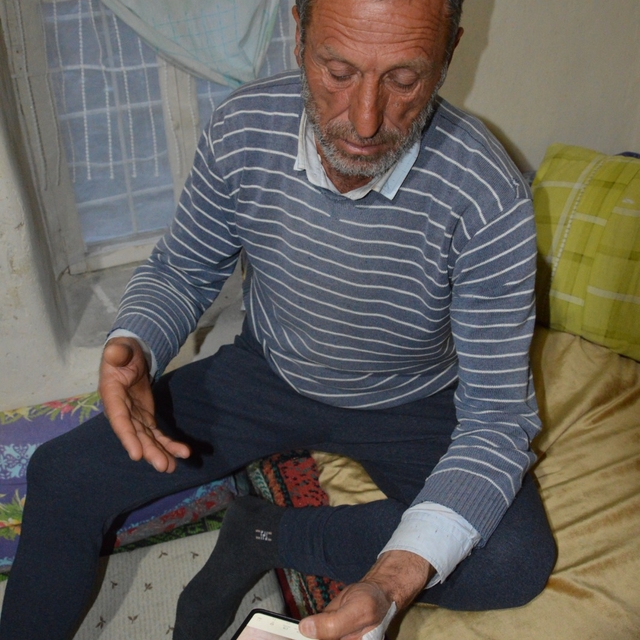 Eskişehir'de koyun otlatırken ayı saldırısına uğrayan kişi yaralandı