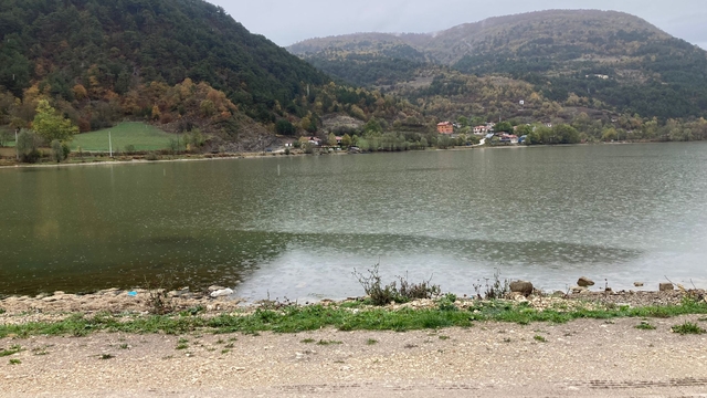 Galeri