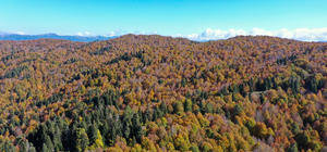 Andırın yaylalarında sonbahar renkleri hakim oldu