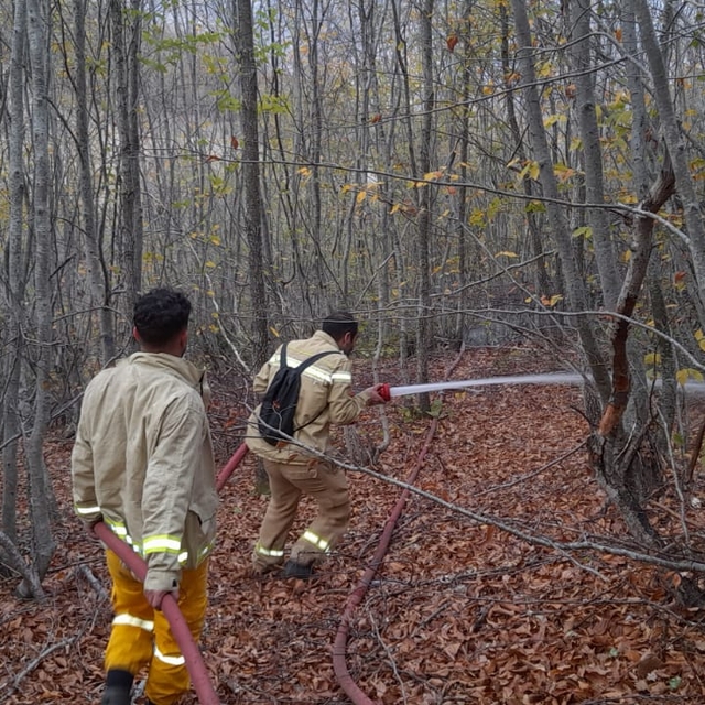 Tokat'ta çıkan orman yangını söndürüldü