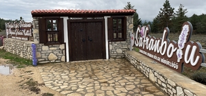 Safranbolu "Tıbbi ve Aromatik Bitkiler Şehri"nde 177 bin 800 bitki yetiştir...