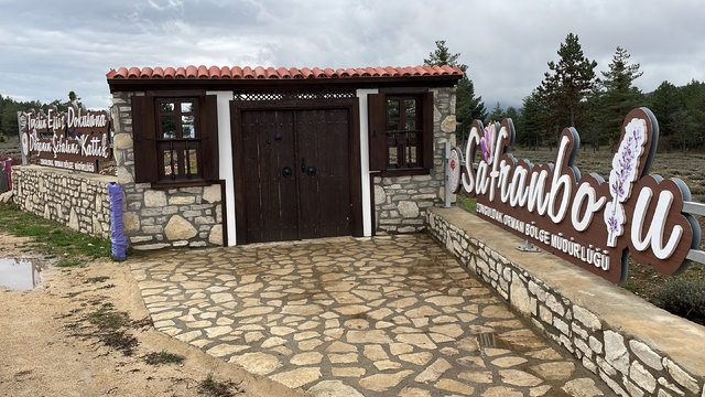 Safranbolu "Tıbbi ve Aromatik Bitkiler Şehri"nde 177 bin 800 bitki yetiştiriliyor