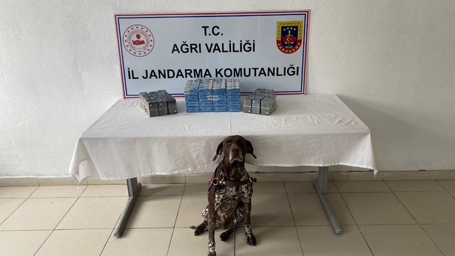 Ağrı'da kaçak akaryakıt ve sigara ele geçirildi