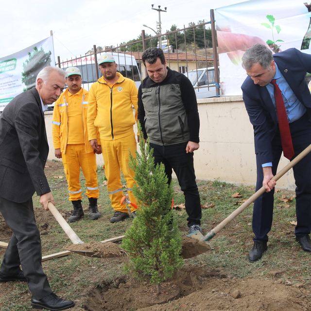 Taşova'da 100 fidan toprakla buluşturuldu