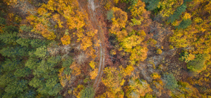 Domaniç Dağları'ndaki kıvrımlı yollar sonbaharın renkleriyle buluştu