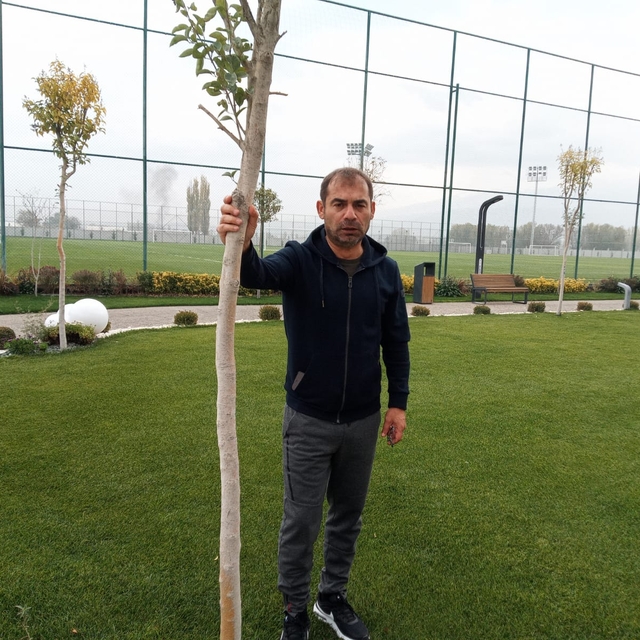 Metin Diyadin: Türk futbolunu 2-3 takım üzerine kurulu bir dizi gibi düşüne...