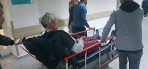 Karabük'te koyun otlatırken ayı saldırısına uğrayan 2 kişi yaralandı