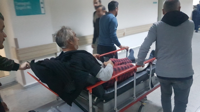 Karabük'te koyun otlatırken ayı saldırısına uğrayan 2 kişi yaralandı