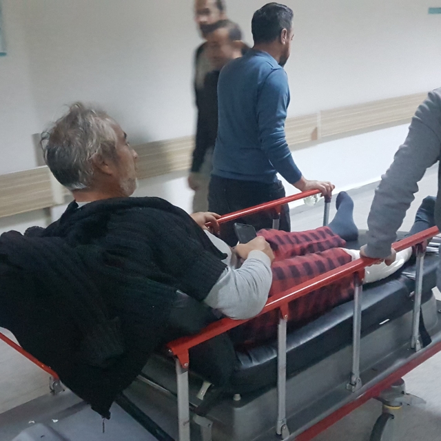 Karabük'te koyun otlatırken ayı saldırısına uğrayan 2 kişi yaralandı