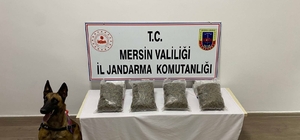 Mersin'de uyuşturucu operasyonunda yakalanan 4 zanlıdan 2'si tutuklandı
