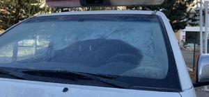 Ardahan'da soğuk hava; camlar dondu, bitkiler kırağı tuttu