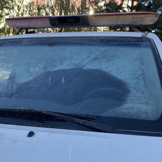 Ardahan'da soğuk hava; camlar dondu, bitkiler kırağı tuttu