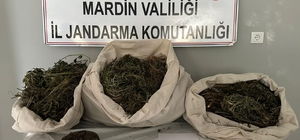 Mardin'deki "narkogüç" operasyonlarında 7 zanlı tutuklandı