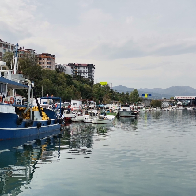 Prof. Dr. Aydın: Karadeniz´de balık stoklarımızda çöküş var
