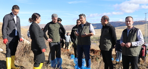 Boğazkale'de fidanlar toprakla buluşturuldu