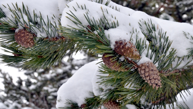 Beyaz örtüyle kaplanan Kars'ın ilçeleri dron ile görüntülendi