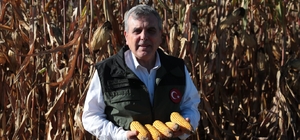 Büyükşehir Belediye Başkanı Beyazgül, mısır hasadına katıldı