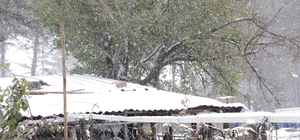Pazaryeri'nde mevsimin ilk karı düştü