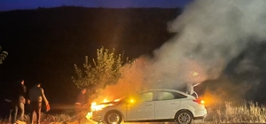 Adıyaman'da köpeğe çarpan otomobil alev aldı