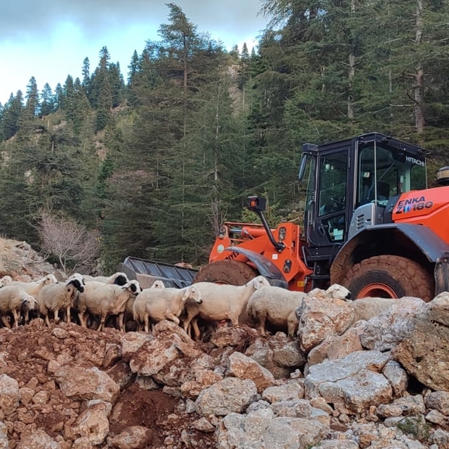 Adana'da yağış nedeniyle yaylada mahsur kalan 11 çoban ve hayvanları kurtar...