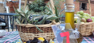 Bayındır'da 2. Ergenli Zeytin Festivali düzenlendi