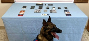 Denizli'de dolandırıcılık ve uyuşturucu operasyonunda yakalanan 4 şüpheli tutuklandı