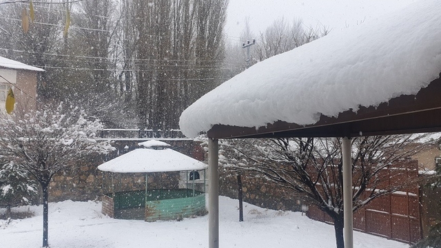 Van ve Hakkari'de kar yağışı (3)