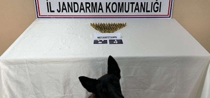 Kastamonu'da uyuşturucu ve ruhsatsız silahlarla yakalanan 3 şüpheli gözaltı...