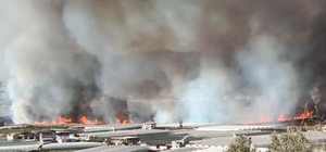 Kaş'ta sazlık alanda çıkan yangına müdahale ediliyor