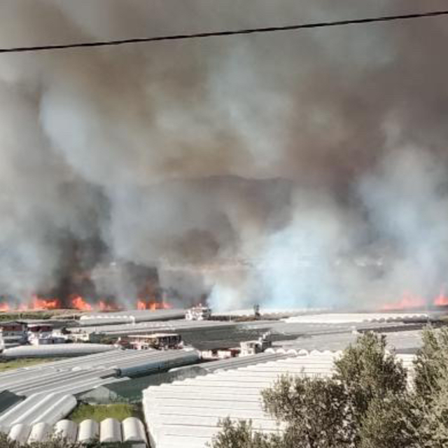 Kaş'ta sazlık alanda çıkan yangına müdahale ediliyor