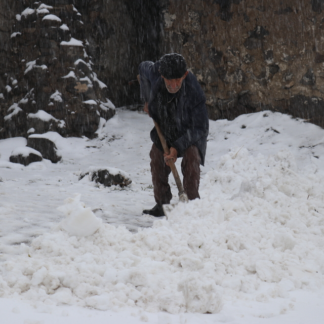 Ağrı, Kars ve Ardahan'da kar yağışı etkili oluyor