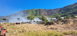 Mersin'de tarım arazisinde çıkan yangın söndürüldü