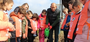 Edirne'de Cumhuriyet'in 100. yılı dolayısıyla 100'er çam fidanı ve gül diki...