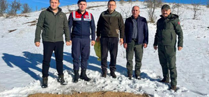 Karabük'te yaban hayvanları için doğaya yem bırakıldı