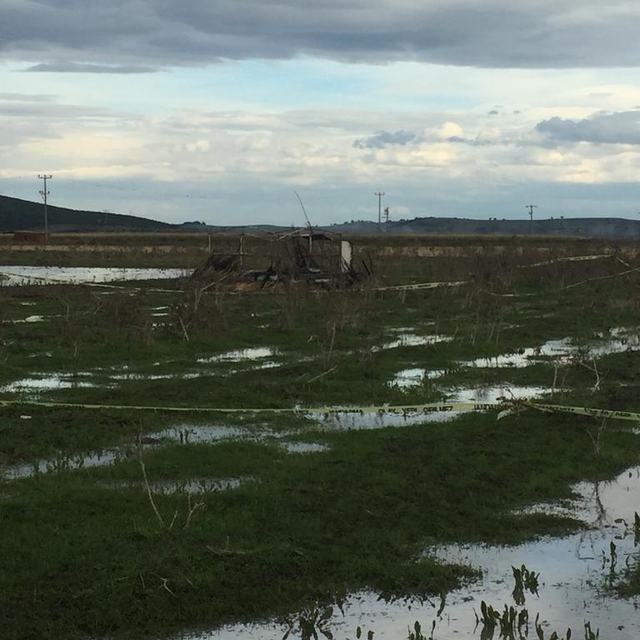 Balıkesir'de avcı kulübesinde çıkan yangında bir kişi öldü