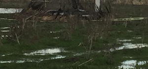 Gümede çıkan yangında avcı öldü