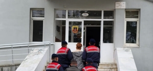 Isparta'da uyuşturucu operasyonunda 2 şüpheli tutuklandı