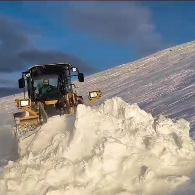 Yaylada karda mahsur kalan 4 besici, kurtarıldı