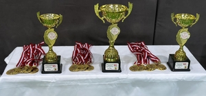 Karapınar'da öğretmenler arası voleybol turnuvası düzenlendi