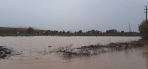 Çanakkale'de sağanak nedeniyle dere taştı, çilek bahçeleri su altında kaldı