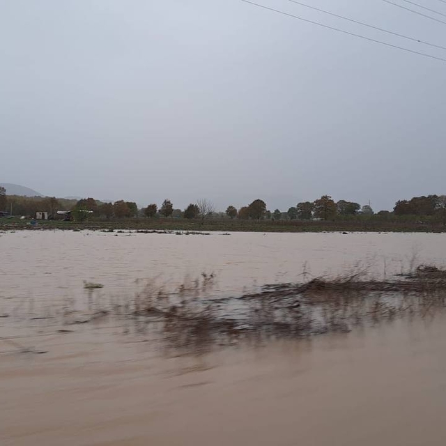 Çanakkale'de sağanak nedeniyle dere taştı, çilek bahçeleri su altında kaldı