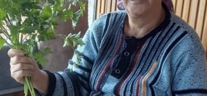 Otomobilin çarptığı yaya öldü