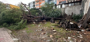 Muğla'da hortum çatıları uçurdu, ağaç ve direkleri devirdi; o anlar kamerad...