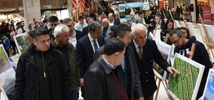 Nallıhan 7. Foto Safari Yarışması'nda ödül töreni düzenlendi